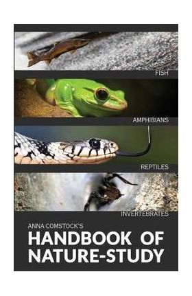 The Handbook Of Nature Study in Color - Fish, Reptiles, Amphibians, Invertebrates - Anna Comstock