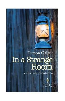 In a Strange Room - Damon Galgut