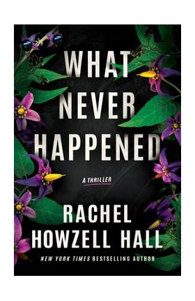 What Never Happened: A Thriller - Rachel Howzell Hall