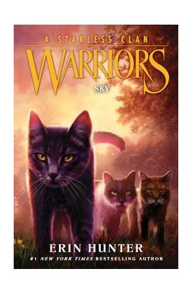 Warriors: A Starless Clan #2: Sky - Erin Hunter