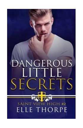 Dangerous Little Secrets: A Reverse Harem Bully Romance - Elle Thorpe