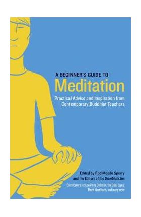 A Beginner's Guide to Meditation: Practical Advice and Inspiration from Contemporary Buddhist Teachers - Rod Meade Sperry