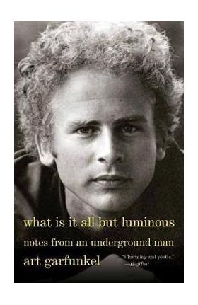 What Is It All but Luminous - Art Garfunkel