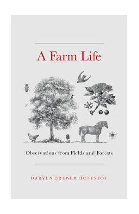 A Farm Life: Observations from Fields and Forests - Daryln Brewer Hoffstot