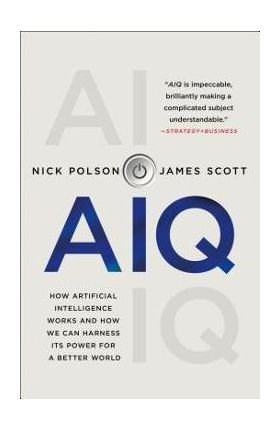 Aiq: How Artificial Intelligence Works and How We Can Harness Its Power for a Better World - Nick Polson