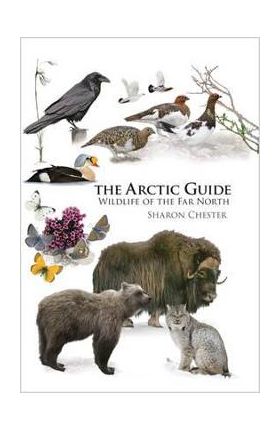 Arctic Guide