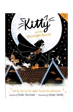 Kitty and the Moonlight Rescue - Paula Harrison