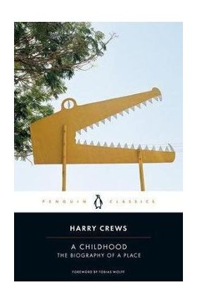 A Childhood: The Biography of a Place - Harry Crews