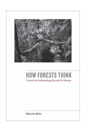 How Forests Think