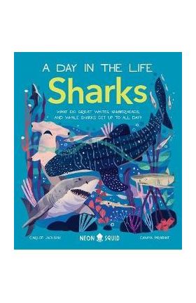 Sharks (a Day in the Life): What Do Great Whites, Hammerheads, and Whale Sharks Get Up to All Day? - Carlee Jackson