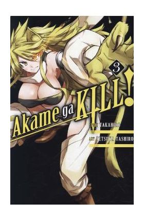 Akame Ga Kill!