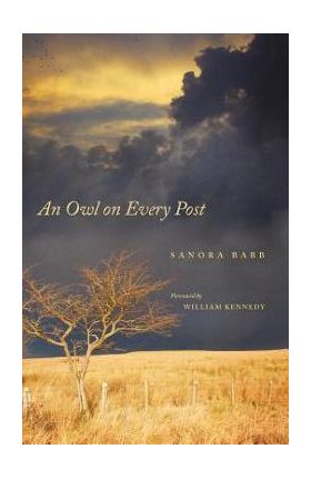 An Owl on Every Post - Sanora Babb