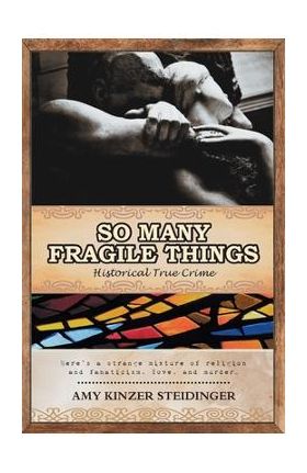 So Many Fragile Things - Amy Kinzer Steidinger