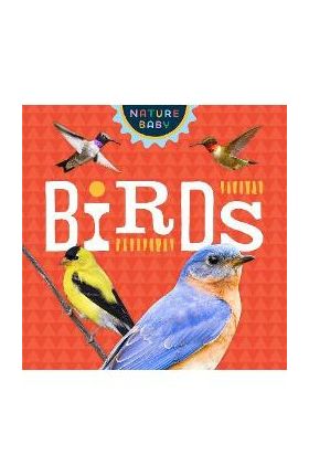 Nature Baby: Birds - Adventure Publications