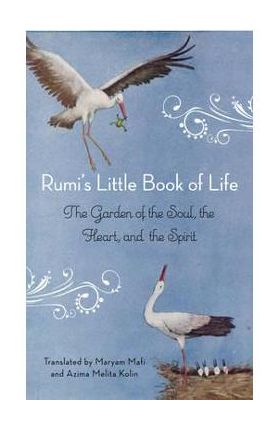 Rumi's Little Book of Life
