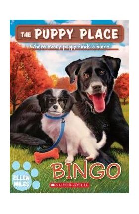Bingo (the Puppy Place #65) - Ellen Miles