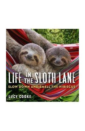 Life In The Sloth Lane