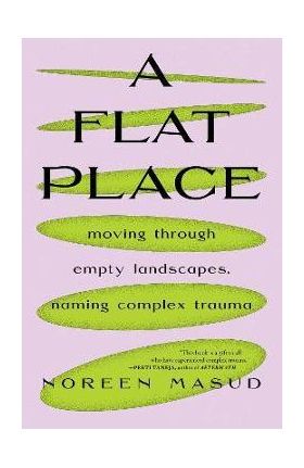 A Flat Place: Moving Through Empty Landscapes, Naming Complex Trauma - Noreen Masud