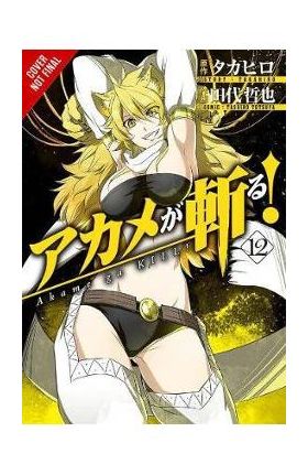 Akame ga KILL!, Vol. 12