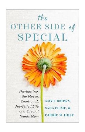 The Other Side of Special: Navigating the Messy, Emotional, Joy-Filled Life of a Special Needs Mom - Amy J. Brown