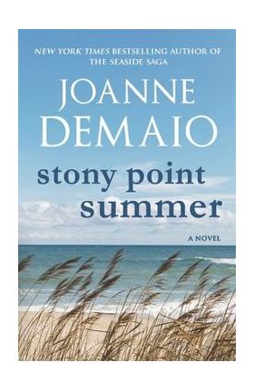 Stony Point Summer - Joanne Demaio