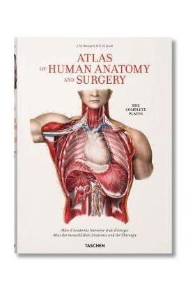 Bourgery. Atlas of Human Anatomy and Surgery - Jean-marie Le Minor