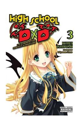 High School DXD, Vol. 3 (Light Novel): Excalibur of the Moonlit Schoolyard - Ichiei Ishibumi