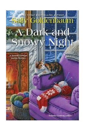 A Dark and Snowy Night - Sally Goldenbaum