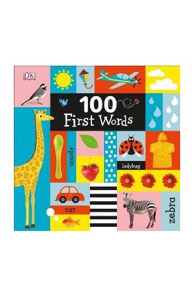 100 First Words - Dk