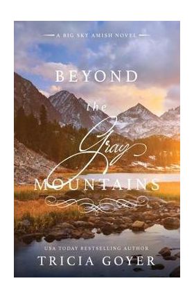 Beyond the Gray Mountains - Tricia Goyer