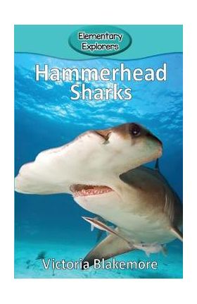 Hammerhead Sharks - Victoria Blakemore