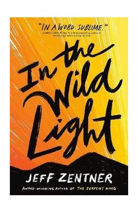 In the Wild Light - Jeff Zentner