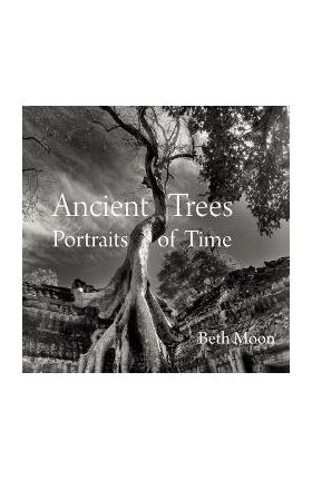 Ancient Trees