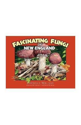 Fascinating Fungi of New England - Lawrence Millman