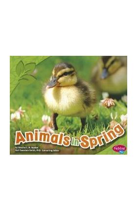 Animals in Spring - John Krenz