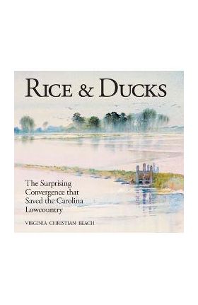 Rice & Ducks: The Surprising Convergence That Saved the Carolina Lowcountry - Virginia Beach