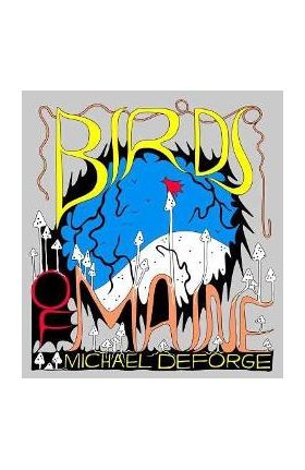 Birds of Maine - Michael Deforge