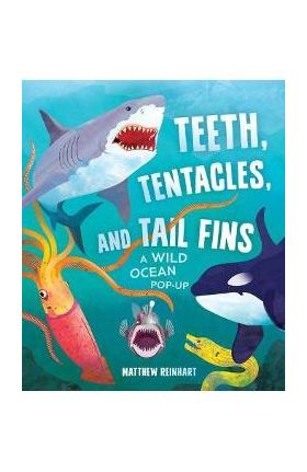 Teeth, Tentacles, and Tail Fins: A Wild Ocean Pop-Up (Reinhart Studios) (Ocean Book for Kids, Shark Book for Kids, Nature Book for Kids) - Matthew Reinhart