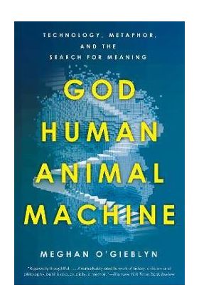 God, Human, Animal, Machine: Technology, Metaphor, and the Search for Meaning - Meghan O'gieblyn