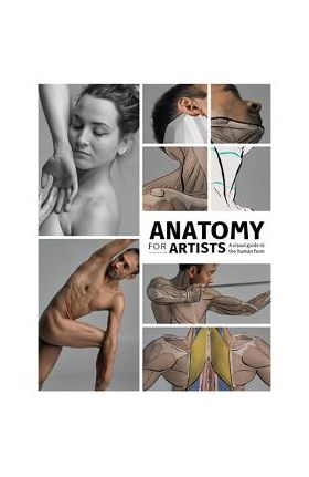 Anatomy for Artists: A Visual Guide to the Human Form - Publishing 3dtotal