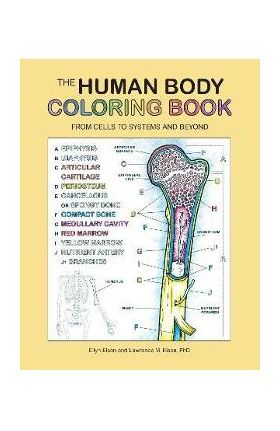 The Human Body Coloring Book: From Cells to Systems and Beyond - Coloring Concepts Inc