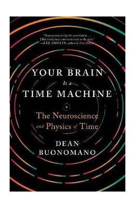 Your Brain Is a Time Machine