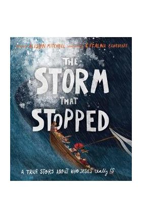 The Storm That Stopped: A True Story about Who Jesus Really Is - Alison Mitchell