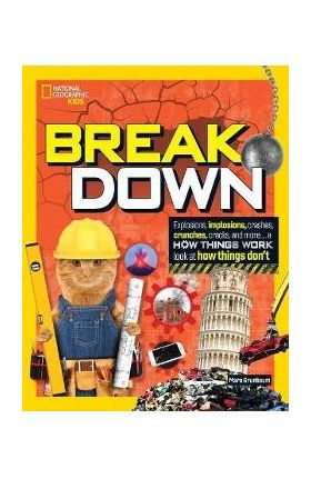 Break Down!: Explosions, Implosions, Crashes, Crunches, Cracks, and More ... a How Things Work Look at How Things Break - Mara Grunbaum