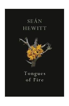 Tongues of Fire - Se&#65533;n Hewitt