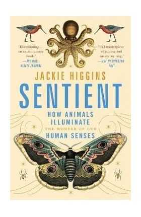 Sentient: How Animals Illuminate the Wonder of Our Human Senses - Jackie Higgins