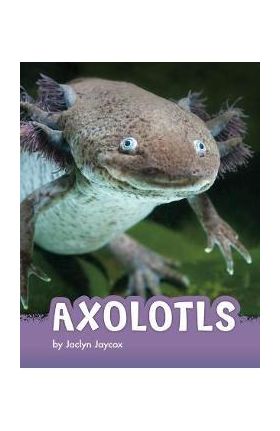 Axolotls - Jaclyn Jaycox