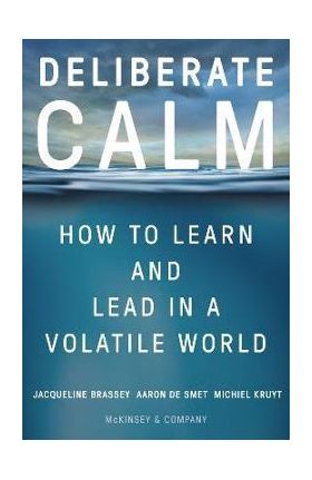 Deliberate Calm: How to Learn and Lead in a Volatile World - Jacqueline Brassey