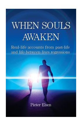 When Souls Awaken; Real-life accounts of past-life and life-between-lives regressions - Pieter J. Elsen