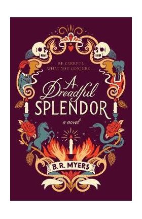 A Dreadful Splendor - B. R. Myers